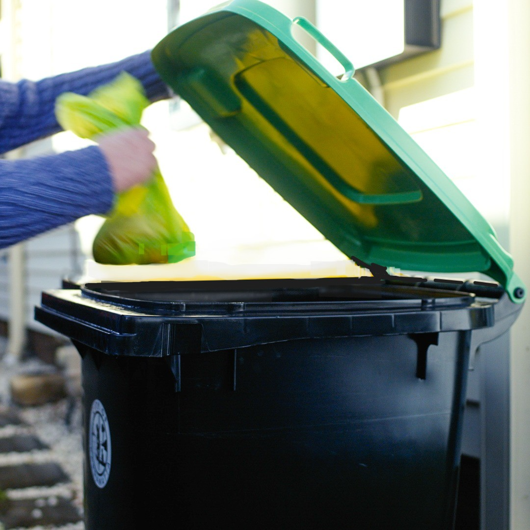 Hand holding compostable liners over green FOGO bin